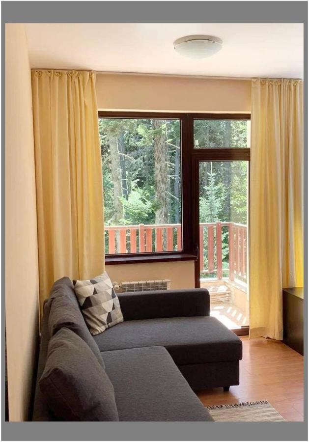 Flora Ski-slope Studio Apartment Boroveț Exterior foto