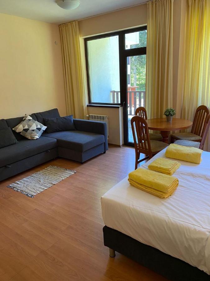 Flora Ski-slope Studio Apartment Boroveț Exterior foto