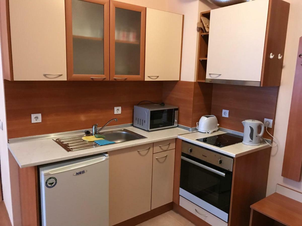 Flora Ski-slope Studio Apartment Boroveț Exterior foto